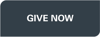 DonateNow